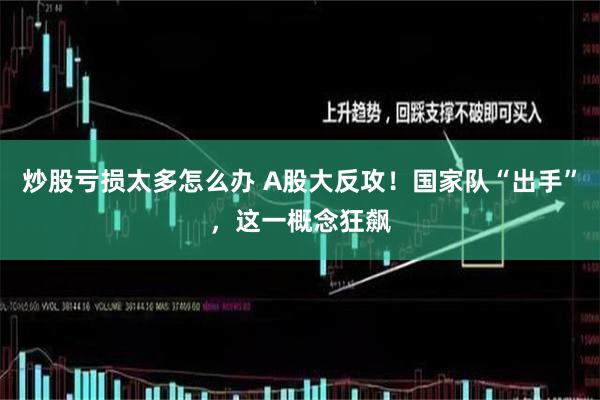 炒股亏损太多怎么办 A股大反攻！国家队“出手”，这一概念狂飙