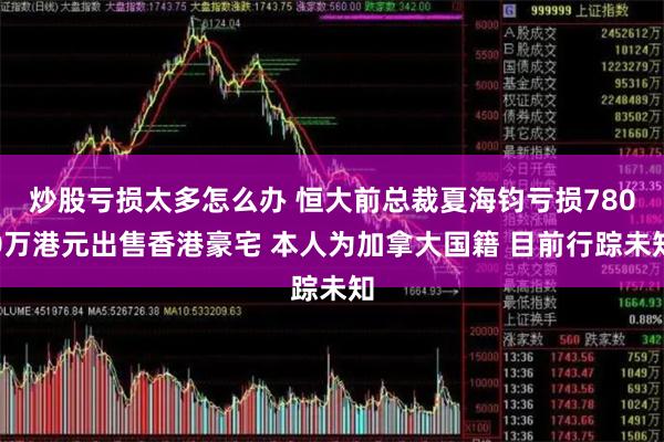 炒股亏损太多怎么办 恒大前总裁夏海钧亏损7800万港元出售香港豪宅 本人为加拿大国籍 目前行踪未知