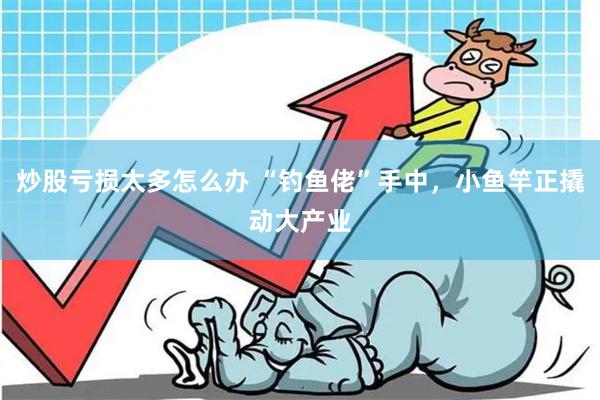 炒股亏损太多怎么办 “钓鱼佬”手中，小鱼竿正撬动大产业