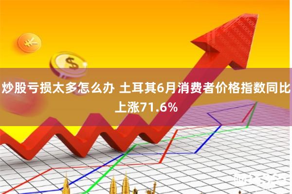 炒股亏损太多怎么办 土耳其6月消费者价格指数同比上涨71.6%