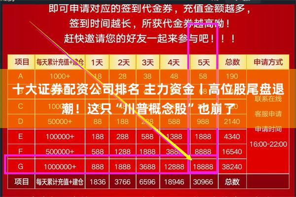 十大证券配资公司排名 主力资金丨高位股尾盘退潮！这只“川普概念股”也崩了